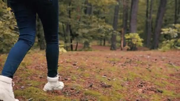Femeie tânără în adidași galbeni și cu rucsac merge prin pădure cu hartă de hârtie în mâini încercând să găsească o cale de ieșire . — Videoclip de stoc