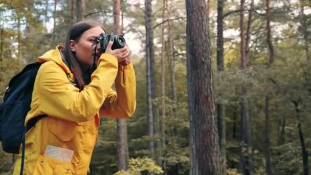 Giovane bella ragazza turista in giacca gialla viaggia da solo nel bosco e scatta foto della natura. donna caucasica è impegnata in hobby in viaggio. — Video Stock