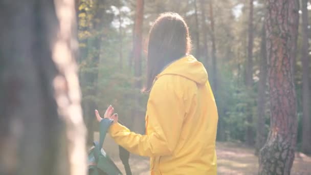 穿着黄色夹克的年轻漂亮的女游客背着蓝色的背包，在阳光明媚的日子继续在树林里徒步旅行. — 图库视频影像