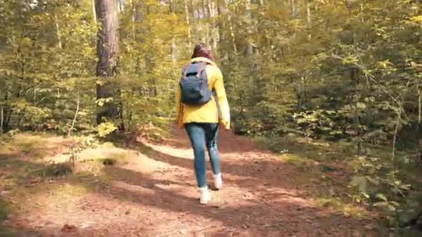 Kamera sarı ceketli kızı takip ediyor. Sırt çantalı. Orman yolunda yürüyor.. — Stok video