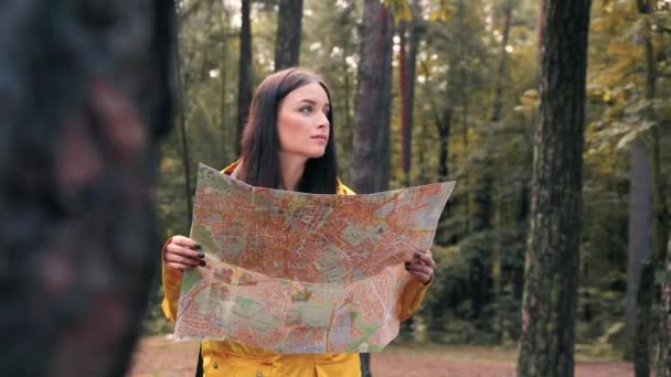 Porträtt av glad turist flicka i gul jacka står mitt i skogen med utfälld karta tittar på kameran och ler. — Stockvideo