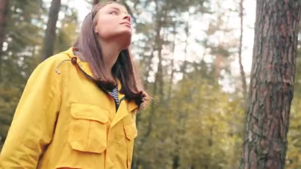 Κομψό κορίτσι τουρίστρια περπάτημα στο δάσος κρατώντας σακίδιο πλάτης και χάρτη με κιάλια. Πεζοπορία στα βουνά κατά τη διάρκεια των διακοπών. — Αρχείο Βίντεο