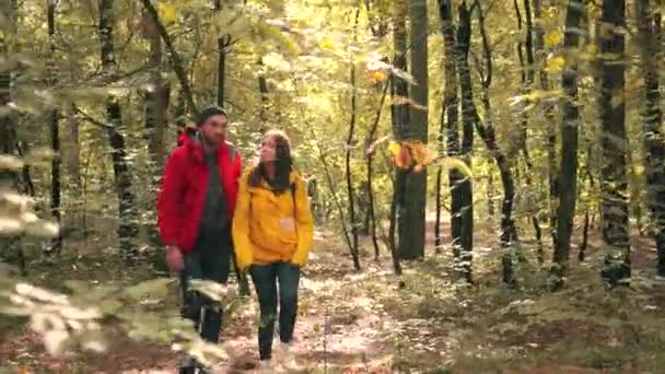 Pár mladých šťastných turistů, kteří se procházejí mezi lesy a objevují nové okolí. Koncept prázdninového túru. — Stock video