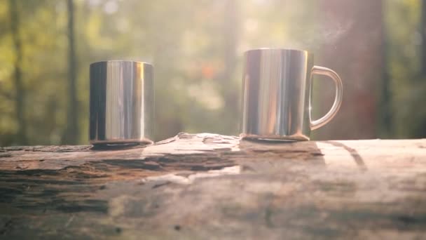 Close up of two travel cups with hot drink standing on log on background of forest glade. Two people take tea break during hike. — Stock Video