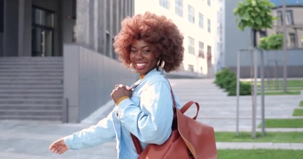 Trasera en joven elegante mujer rizada afroamericana hermosa con bolsa caminando en la calle de la ciudad, girando a la cámara y sonriendo alegremente. Vista trasera en bastante feliz hembra paseando al aire libre y riendo. — Vídeo de stock