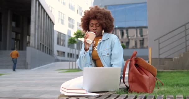 Joven afroamericana rizado hermosa mujer sentada en el banco, trabajando en el ordenador portátil y beber café al aire libre. Estudiante bastante femenina estudiando en la calle y bebiendo bebida caliente. — Vídeos de Stock