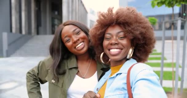 Punto de vista de afroamericanos jóvenes mujeres bonitas, mejores amigos sonriendo a la cámara y saludando mientras videochat en la calle de la ciudad. Elegante hermosa feliz mujer hablando y teniendo videochat en la webcam. — Vídeos de Stock