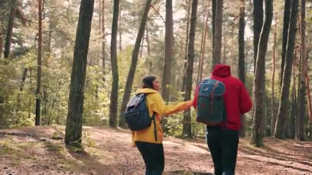 Un paio di turisti che passeggiano nel bosco con gli zaini parlando e divertendosi all'aria aperta. Vista da dietro. — Video Stock