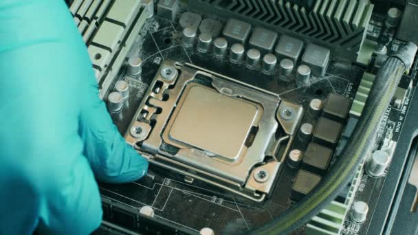 Electronics Repair Technician Con Guante Azul Retira Cuidadosamente Procesador Computadora — Vídeo de stock