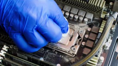 Mavi eldivenli elektronik tamir teknisyeni, bilgisayar işlemcisini özenle temizliyor. Eski kullanılmış soğutuculu bir masaüstü bilgisayarının ana bilgisayarında, pamuk ped ve temizlik sıvısıyla. Kapat.