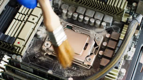 身穿蓝色手套的电子修理工用特殊刷子从台式计算机主机板上的计算机处理器上清除灰尘 靠近点 — 图库视频影像