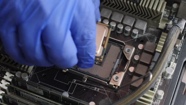 Electronics Repair Technician Blue Glove Carefully Installs Computer Processor Socket — Stock Video