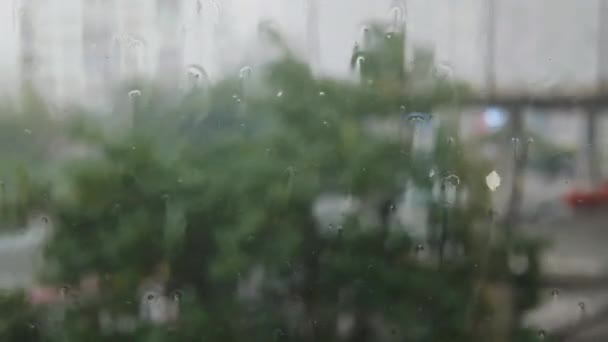 Сильний Ураган Стоїть Вікном Великі Краплі Сильного Дощу Падають Пилове — стокове відео