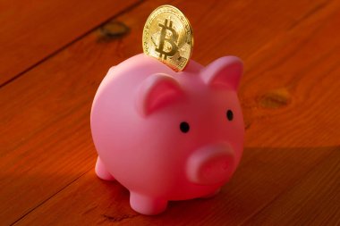 Şifreli Bitcoin 'in altın sikkesi. Pembe kumbarada. Doğan güneşin ışınlarında. Yeni dijital finansal bankacılık kavramı. Yakın çekim.