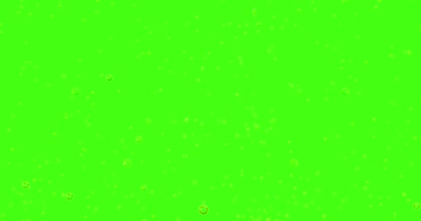 Gouden bubbels beweging binnen een glas champagne op groen scherm chroma key achtergrond, naadloze loops — Stockvideo