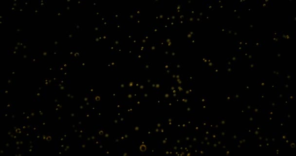 Arany buborékok mozgását belsejében egy pohár pezsgő-fekete háttér — Stock videók