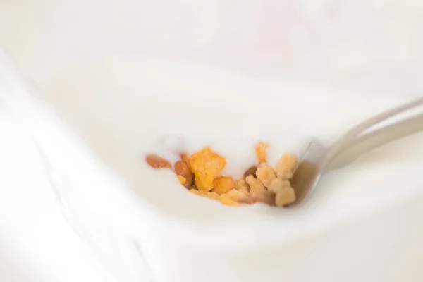 Close-up of healthy cereal and chocolate and white yogurt on the spoon — Stock Photo, Image