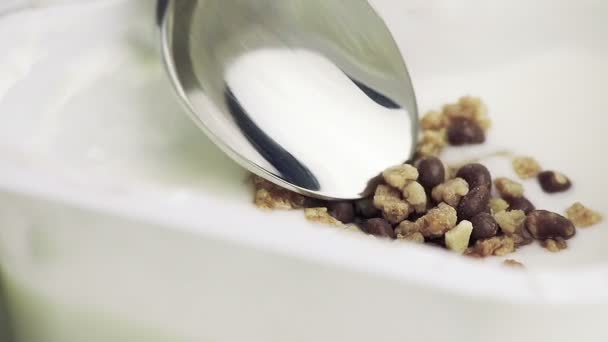 Primer plano de cereales saludables y chocolate y yogur blanco en la cuchara — Vídeo de stock