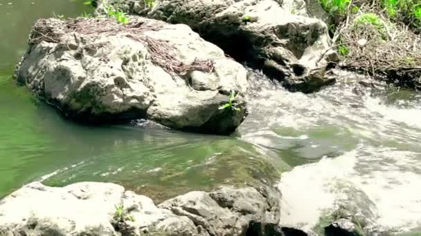 Arroyo de montaña a la luz del día con sonido original — Vídeos de Stock