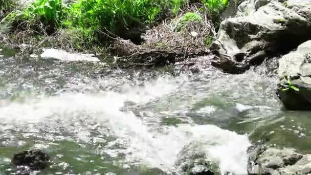 Mountain stream at daylight — Stock Video