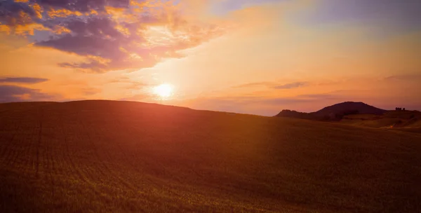 Verde campo de hierba paisaje bajo el sol caída puesta del sol cielo con nubes suaves en verano — Foto de Stock