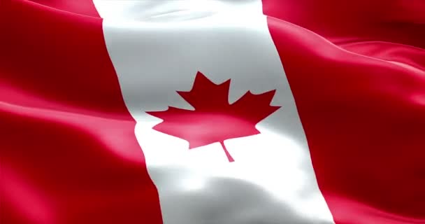 Waving fabric texture of the flag of canada — Stock Video