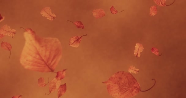 Herfstbladeren vallen op bruine achtergrond — Stockvideo