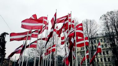 Rüzgarda sallanan bir direğe bağlı Letonya bayrakları Riga, Letonya 'nın ufuk çizgisi,
