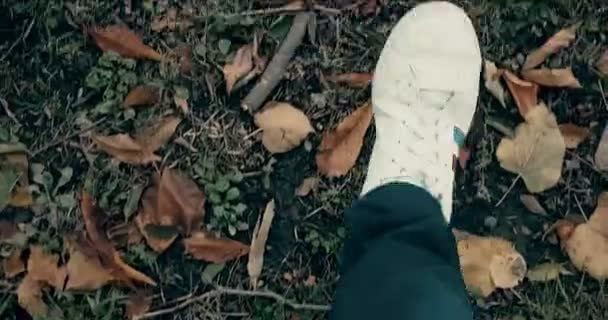 Zbliżenie białe trampki buty człowiek spacery widok z góry na dywanie kolorowe jesień — Wideo stockowe