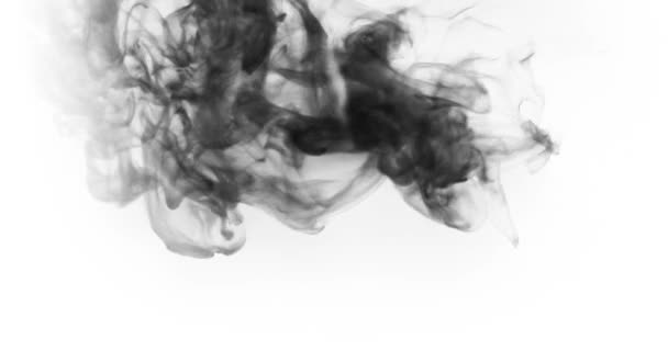 Abstraktní černá barva tahu štětcem tvar černý inkoust stříkající kapky tekoucí a mytí na bílém pozadí obrazovky, umělecký inkoust — Stock video