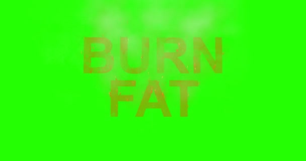 Καύση γραμματοσειρά έγκαυμα λίπος κείμενο λέξη φωτιά με φλόγα και καπνό σε chroma κλειδί πράσινη οθόνη, έννοια της ιατρικής διατροφής υγιεινή — Αρχείο Βίντεο