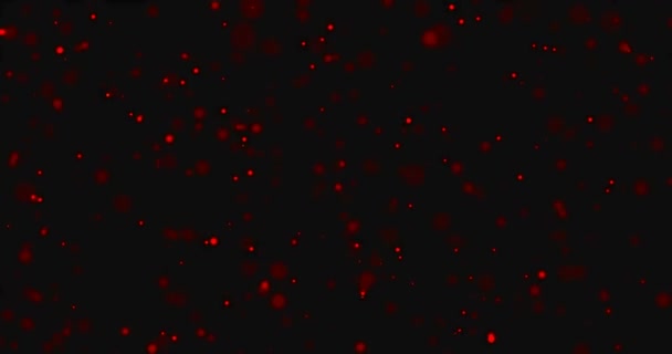 Navidad luz roja brillo que fluye en las partículas del horizonte bokeh loopable sobre fondo negro, fiesta de felicitación fiesta — Vídeos de Stock