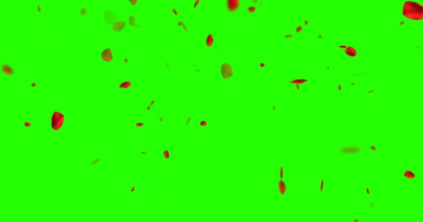 Rode rozenblaadjes vliegen op chroma toets, groen scherm achtergrond, liefde en Valentijn — Stockvideo