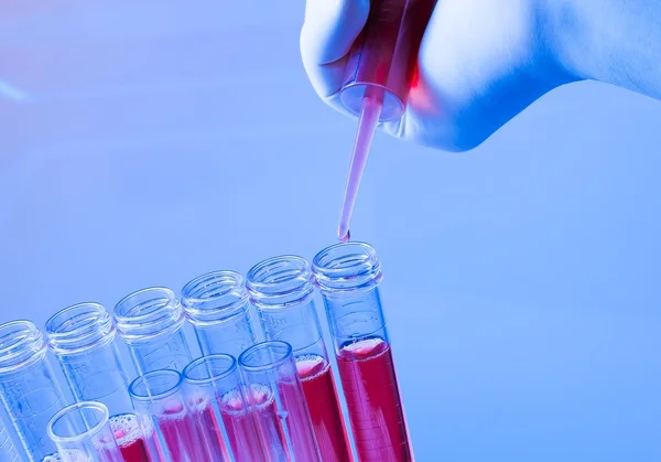 Closeup of test tubes with pipette on red liquid in laboratory — Stock Photo, Image