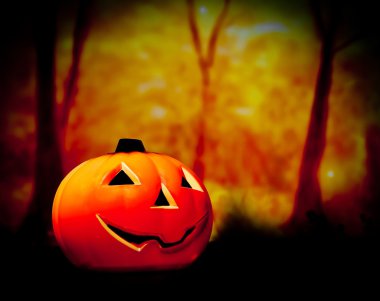 Korkunç koyu orman ve kabak Halloween geceler arka plan