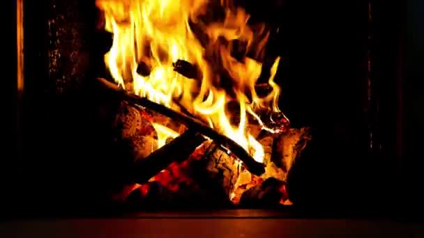 Clipe de uma lareira com chamas de tamanho médio — Vídeo de Stock