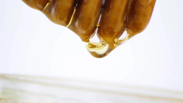 Detail of wooden honey dipper with drop honey, isolated on white background — Stock Video