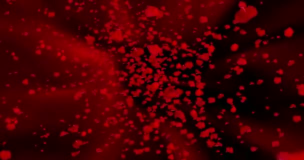 Animación digital pétalos de rosa roja volando en vórtice sobre fondo abstracto rojo y negro con se desvanecen, bucle sin costuras. Resolución 4K y 1080 — Vídeo de stock