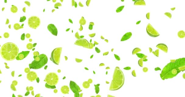 Digital animering frukter citrus lime skivor och mynta blad flyger på vit bakgrund, loop sömlös. 4k och 1080 upplösning — Stockvideo