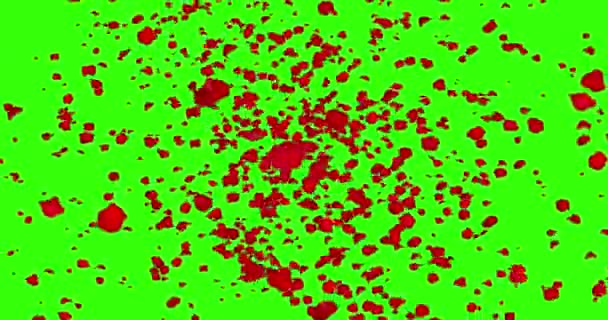 Petali di rosa rossa animazione digitale che volano in vortice su sfondo chiave croma schermo verde con dissolvenza fuori, loop senza soluzione di continuità. Risoluzione 4K e 1080 — Video Stock