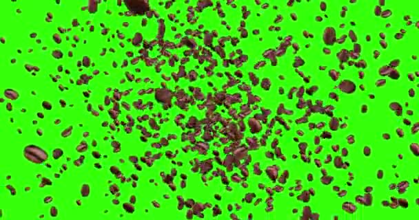 Digital animering kaffebönor flyger i vortex på grön skärm chroma key bakgrund med tona ut, slinga sömlös. 4k och 1080 upplösning — Stockvideo