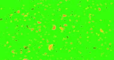 yeşil ekran chroma anahtar arka planda, döngü sorunsuz uçan yaprakları animasyon ile dijital meyve portakal dilimleri. 4k ve 1080 çözünürlük