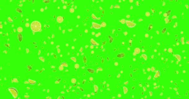 Fruits numériques tranches de citron vert avec des feuilles animation volant sur fond vert chroma clé, boucle sans couture — Video