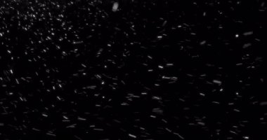 Yılbaşı kar taneleri tepeden yağıyor, kış tatili etkinliği siyah üzerine.