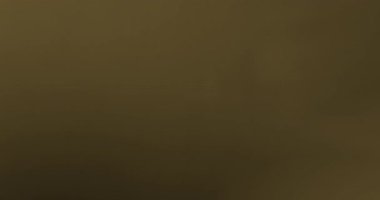 Ilık altın rengi parlak mercek ışıltısı ışınları siyah arkaplandaki geçişler için sızıntı yapıyor.