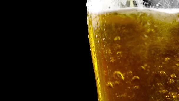 Pouring fresh beer with foam into glass on black background — Stock Video