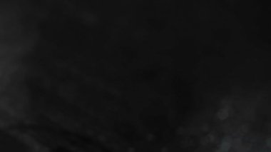 adam içki taze bira siyah arka plan önünde köpük ile