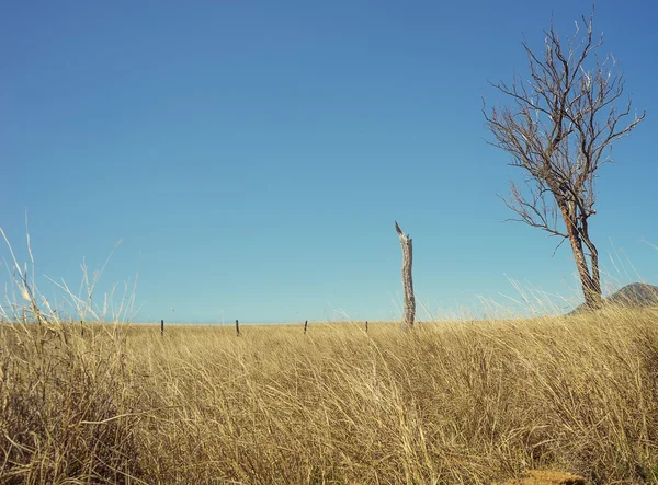 Blue Sky Horizon — Stock Photo, Image