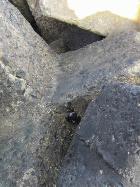 stones breakers of waves at the sea. Wave breaker stones barrier. Uneasy waves of the sea shore.