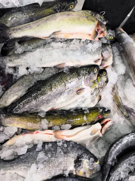 Rychlé Zmrazení Ryb Rybářský Průmysl Zpracování Mořských Plodů Čerstvě Zmrazené — Stock fotografie